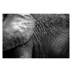 WandbilderXXL Tableau déco The Giant - Noir - Blanc