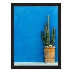 Any Image Tableau déco Blue Wall with Cactus - Hêtre massif / Plexiglas - 32 x 42 cm