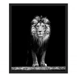 Any Image Tableau déco Beautiful Lion - Hêtre massif / Plexiglas - 52 x 62 cm