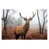 Reinders Tableau déco cerf dans la forêt - Papier / MDF - Marron