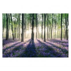 Reinders Tableau déco forêt enchantée - Papier / MDF - Violet