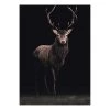 Reinders Tableau déco Hirsch im Licht - Papier / MDF - Marron