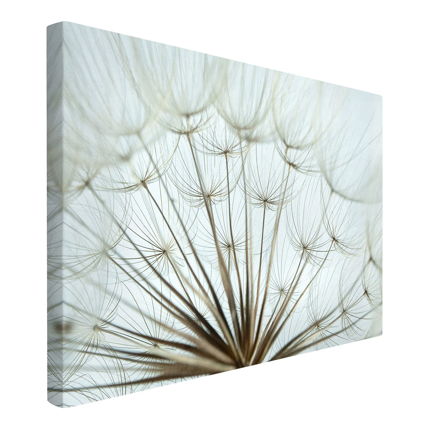 Bilderwelten Tableau déco pissenlit joli - Toile / Épicéa massif - Multicolore - 60 x 40 cm – Image 4