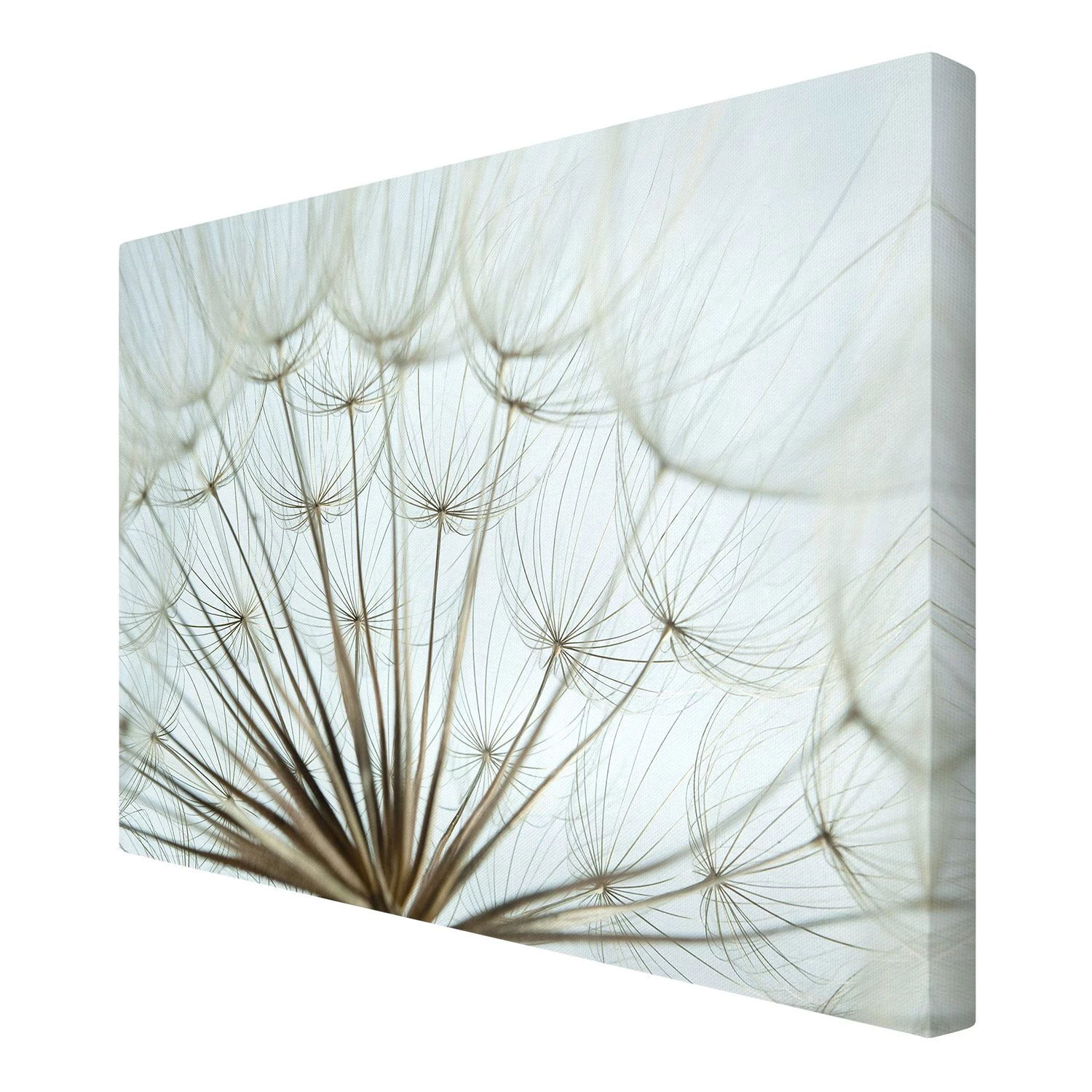 Bilderwelten Tableau déco pissenlit joli - Toile / Épicéa massif - Multicolore - 60 x 40 cm – Image 5