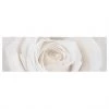 Bilderwelten Tableau déco Pretty White Rose I - Toile / Épicéa massif - Multicolore - 120 x 40 cm