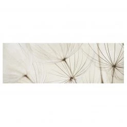 Bilderwelten Tableau déco pissenlit I - Toile / Épicéa massif - Multicolore - 120 x 40 cm