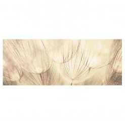 Bilderwelten Bild pissenlit en gros plan - Verre de sécurité ESG - Multicolore - 80 x 30 cm