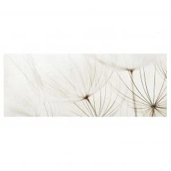 Bilderwelten Tableau déco pissenlit II - Verre de sécurité ESG - Multicolore - 80 x 30 cm