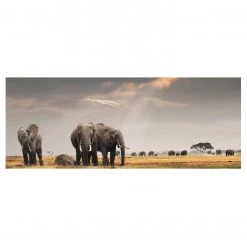Bilderwelten Tableau déco éléphants dans la savane - Verre de sécurité ESG - Multicolore - 125 x 50 cm