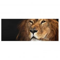 Bilderwelten Tableau déco lion - Verre de sécurité ESG - Multicolore - 125 x 50 cm