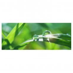 Bilderwelten Tableau déco Green Ambiance II - Verre de sécurité ESG - Multicolore - 125 x 50 cm