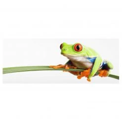 Bilderwelten Tableau déco Weatherman - Verre de sécurité ESG - Multicolore - 80 x 30 cm