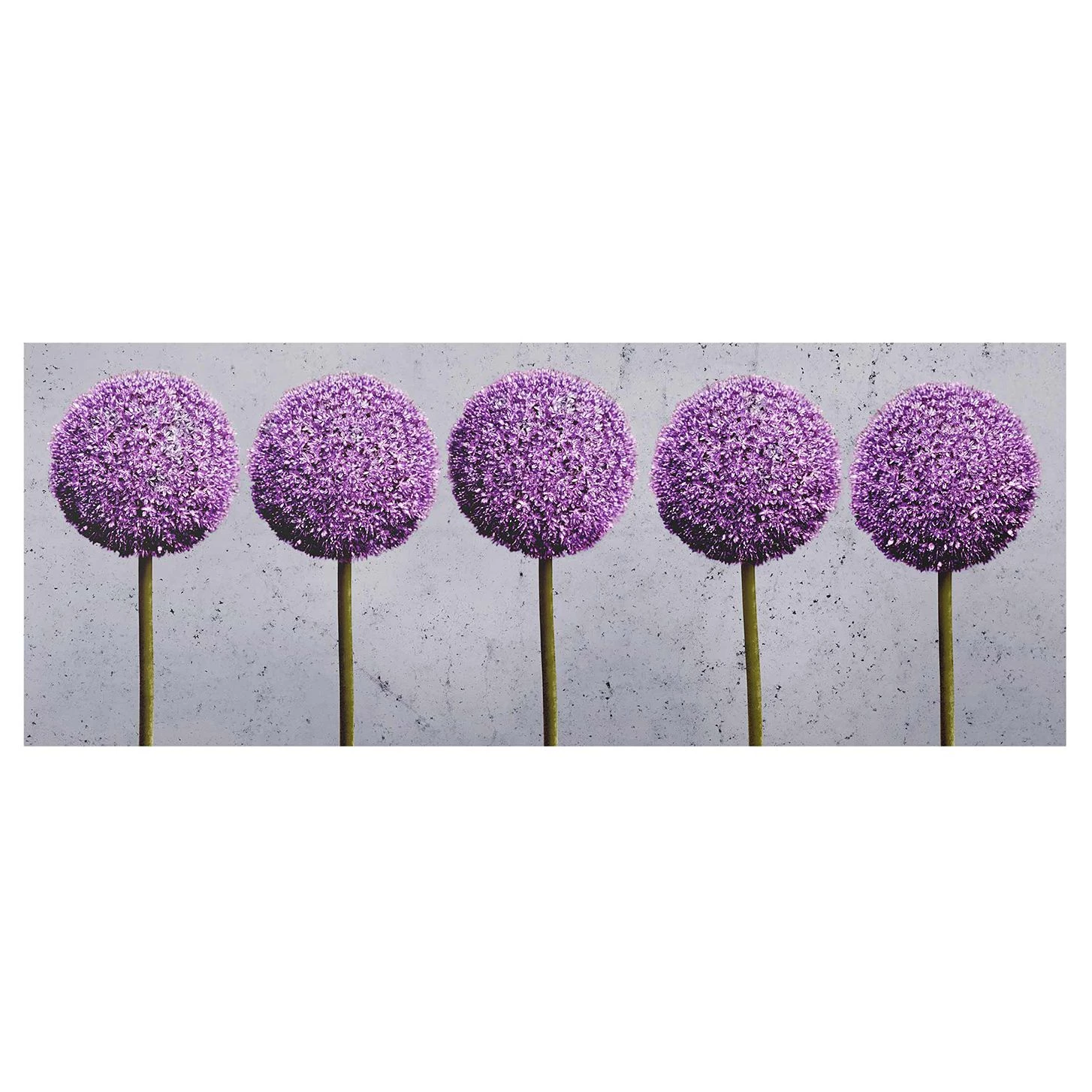 Bilderwelten Tableau déco Allium - Verre de sécurité ESG - Multicolore - 80 x 30 cm