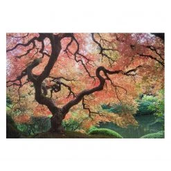 Bilderwelten Tableau déco jardin japonais III - Aluminium - Multicolore - 75 x 50 cm
