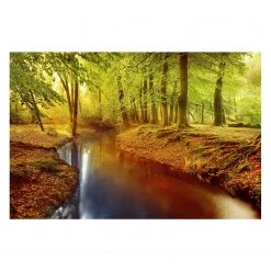 Bilderwelten Papier peint forêt en automne - Papier peint - 432 x 290 cm