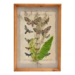 Twentyfour Tableau déco Bellecombe - Sapin massif / Multicolore