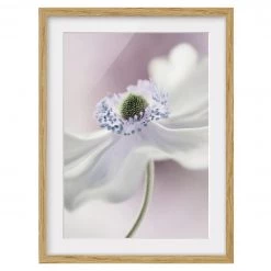Bilderwelten Impression d’art Brise d’anémone IV - Partiellement en chêne massif - Chêne - 70 x 100 cm