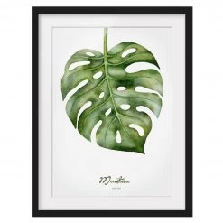 Bilderwelten Impression d’art aquarelle Monstera I - Pin massif - Noir - 40 x 55 cm