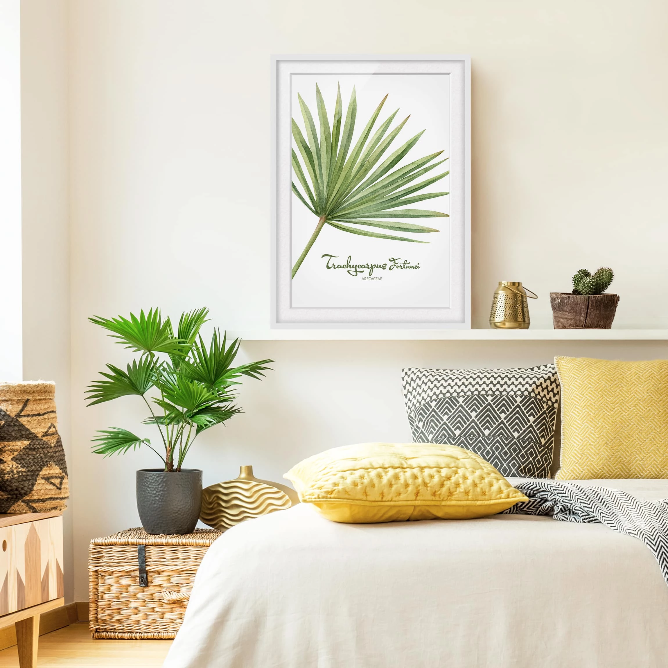 Bilderwelten Impression aquarelle Trachycarpus II - Partiellement en pin massif - Blanc - 30 x 40 cm â Image 5