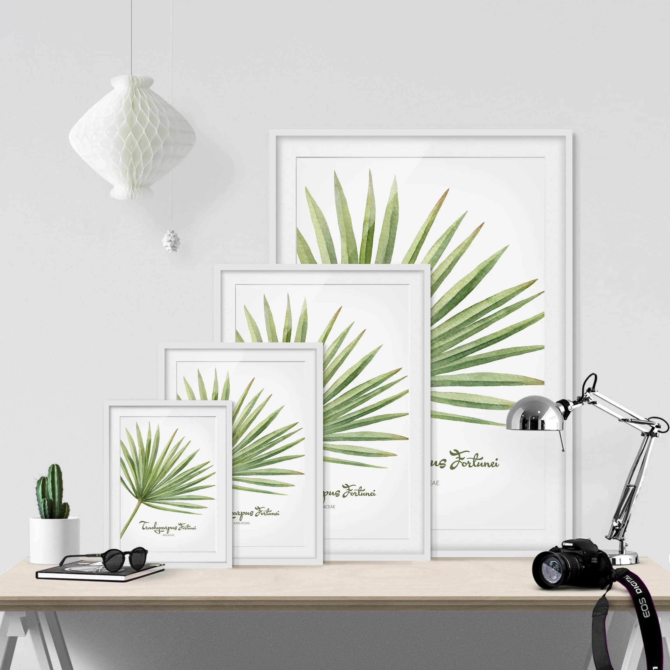 Bilderwelten Impression aquarelle Trachycarpus II - Partiellement en pin massif - Blanc - 30 x 40 cm â Image 6