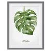 Bilderwelten Impression d’art aquarelle Monstera III - Partiellement en pin massif - Gris - 40 x 55 cm