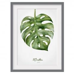 Bilderwelten Impression d’art aquarelle Monstera III - Partiellement en pin massif - Gris - 40 x 55 cm