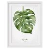 Bilderwelten Impression d’art aquarelle Monstera II - Partiellement en pin massif - Blanc - 70 x 100 cm