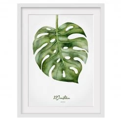 Bilderwelten Impression d’art aquarelle Monstera II - Partiellement en pin massif - Blanc - 70 x 100 cm