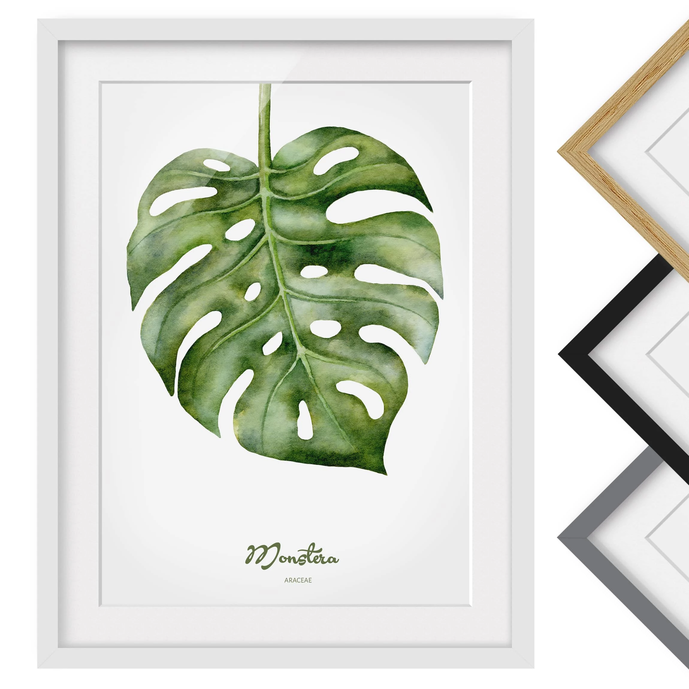 Bilderwelten Impression d’art aquarelle Monstera II - Partiellement en pin massif - Blanc - 70 x 100 cm – Image 2