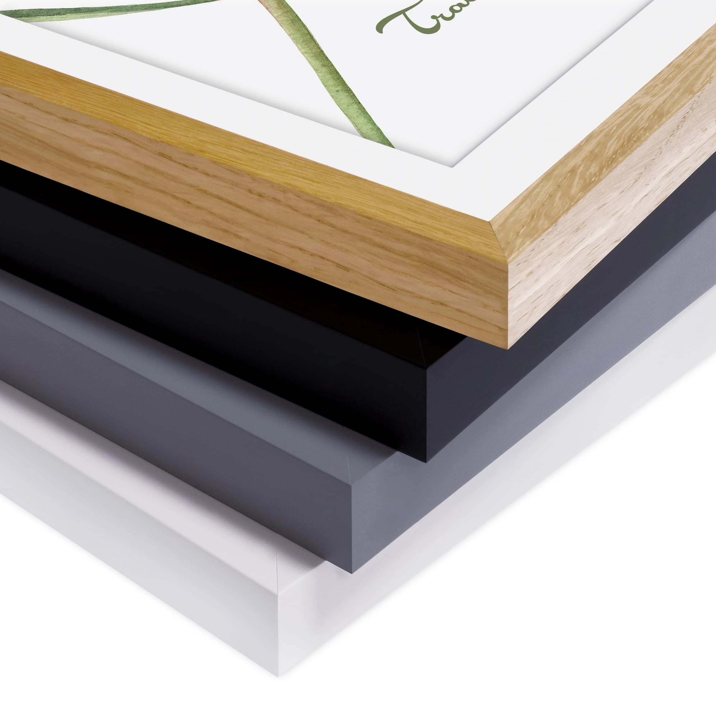 Bilderwelten Impression aquarelle Trachycarpus I - Pin massif - Noir - 40 x 55 cm â Image 7