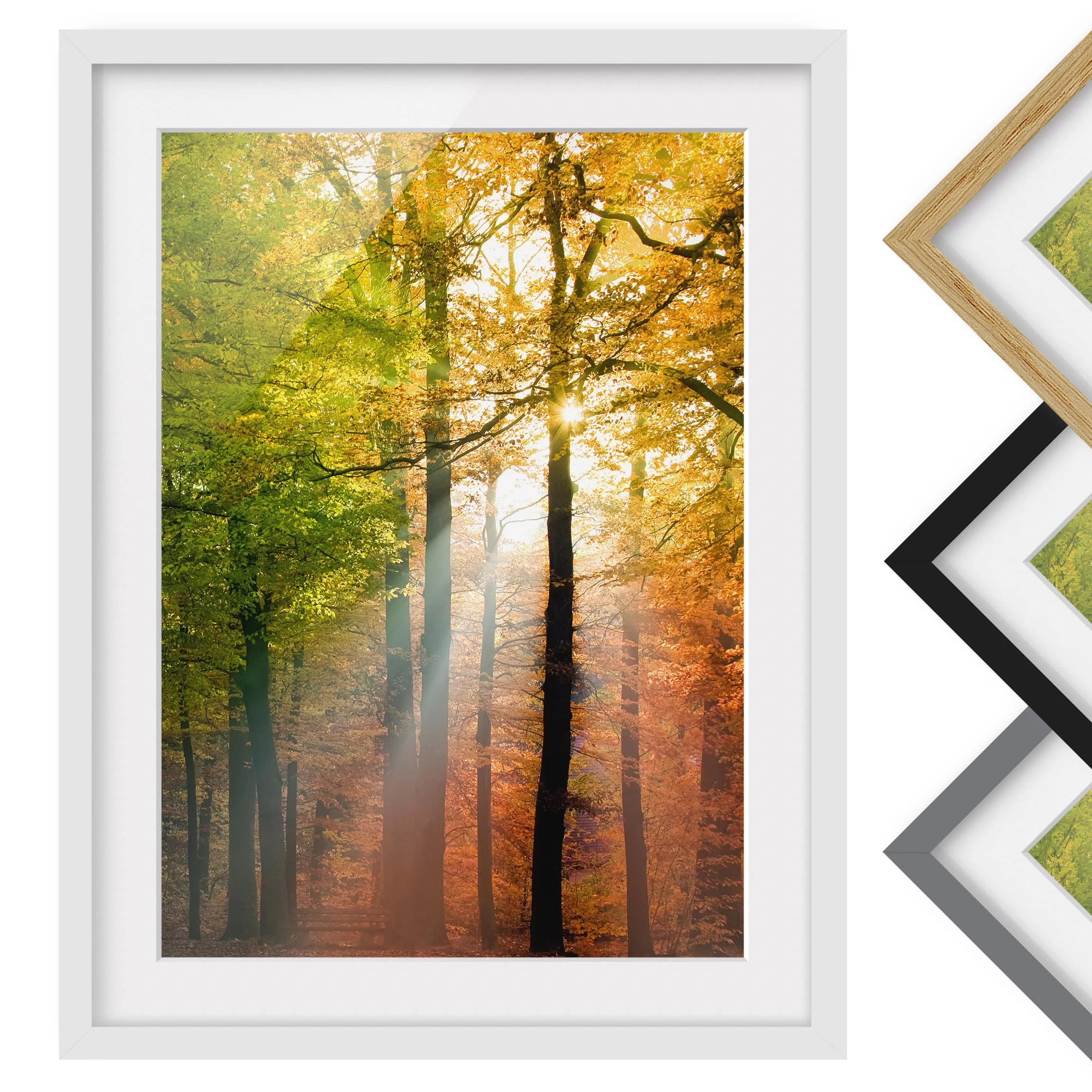 Bilderwelten Tableau déco Morning Light II - Partiellement en pin massif - Blanc - 30 x 40 cm – Image 2