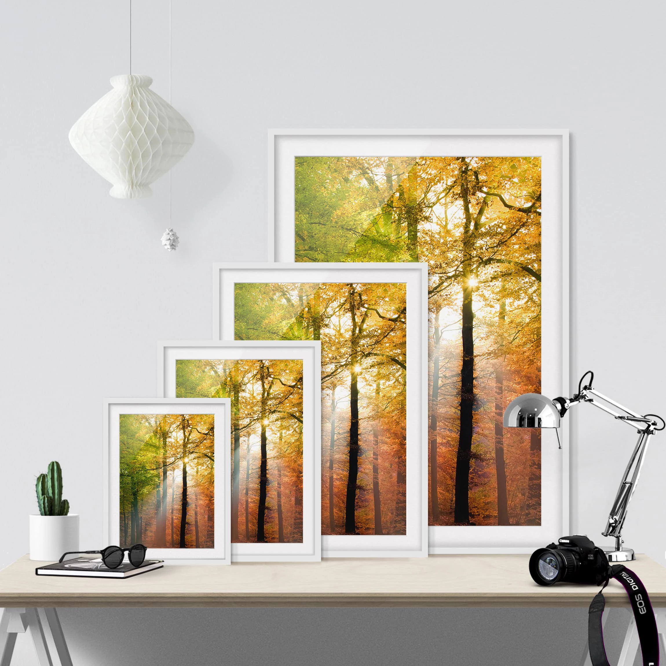 Bilderwelten Tableau déco Morning Light II - Partiellement en pin massif - Blanc - 30 x 40 cm – Image 6