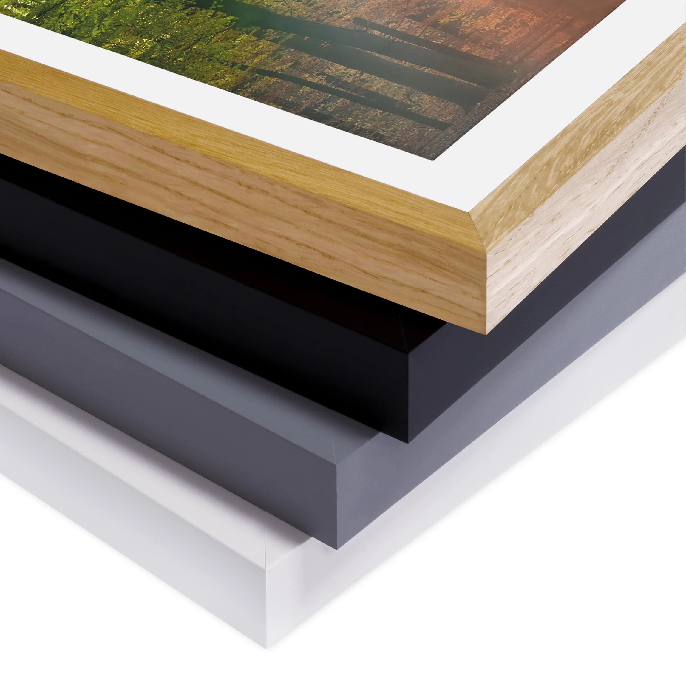 Bilderwelten Tableau déco Morning Light II - Partiellement en pin massif - Blanc - 30 x 40 cm – Image 7