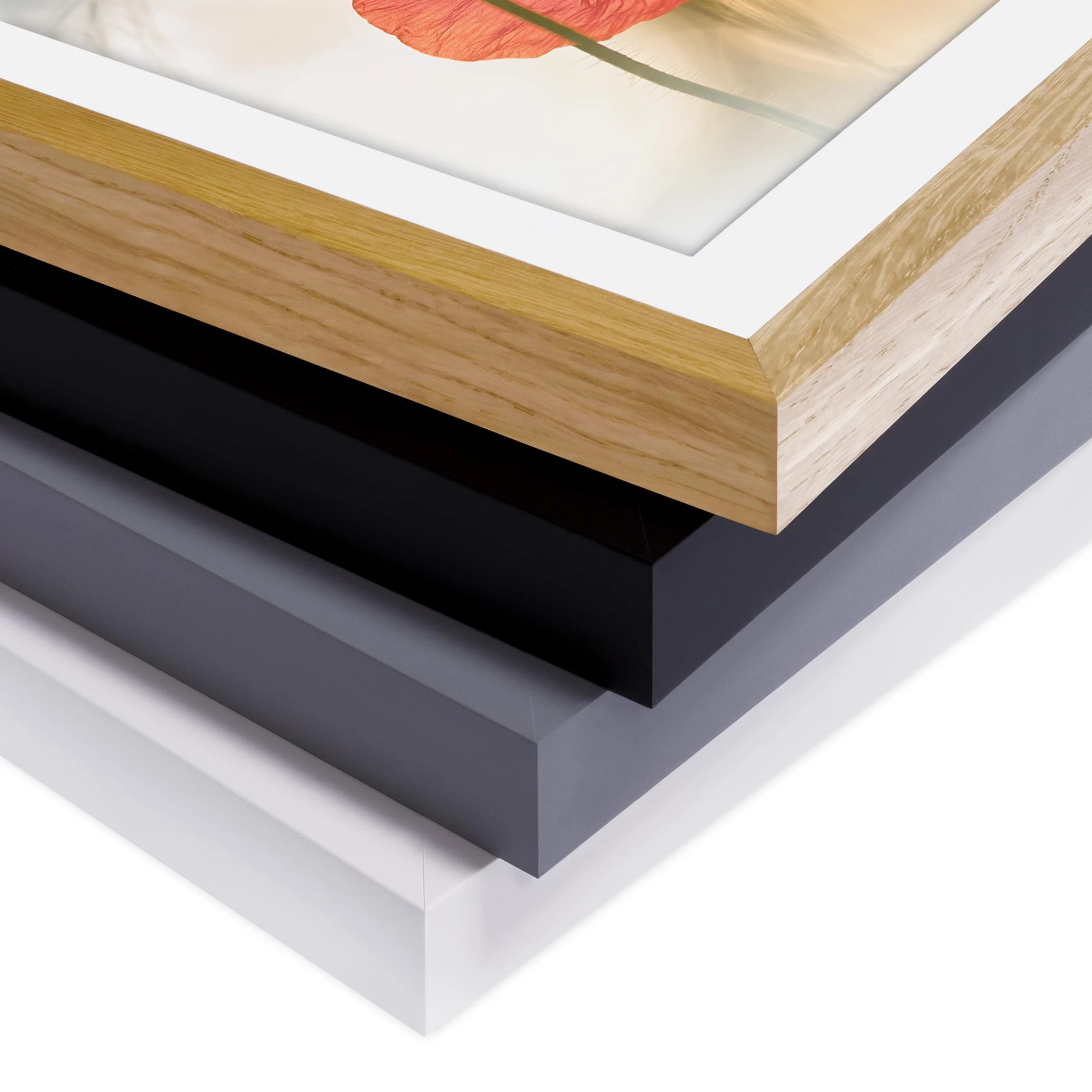 Bilderwelten Tableau déco coquelicots le matin III - Partiellement en pin massif - Gris - 70 x 50 cm – Image 7