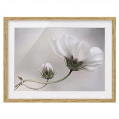 Bilderwelten Tableau déco Simply Cosmos IV - Partiellement en chêne massif - Chêne - 55 x 40 cm