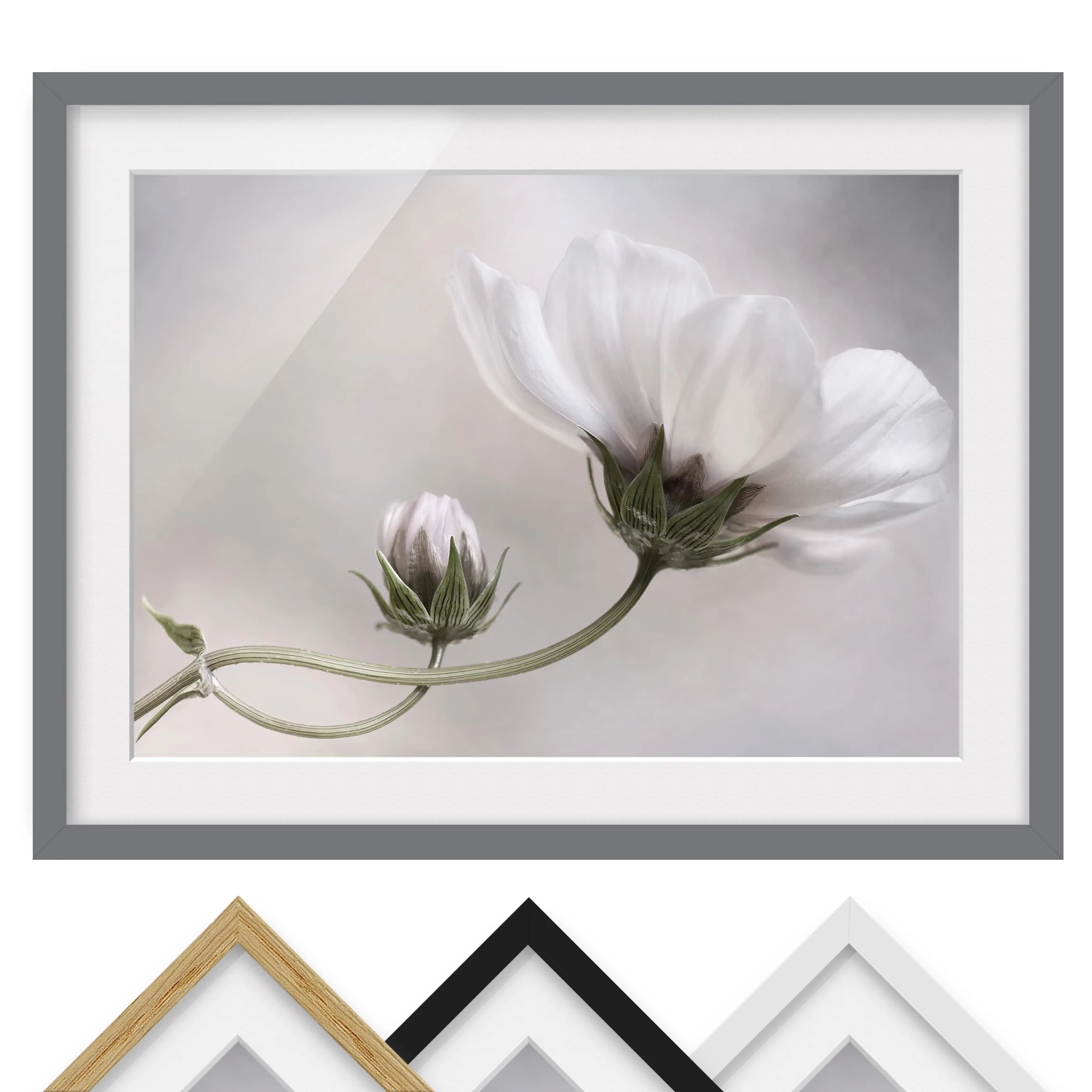 Bilderwelten Tableau déco Simply Cosmos III - Partiellement en pin massif - Gris - 55 x 40 cm – Image 2