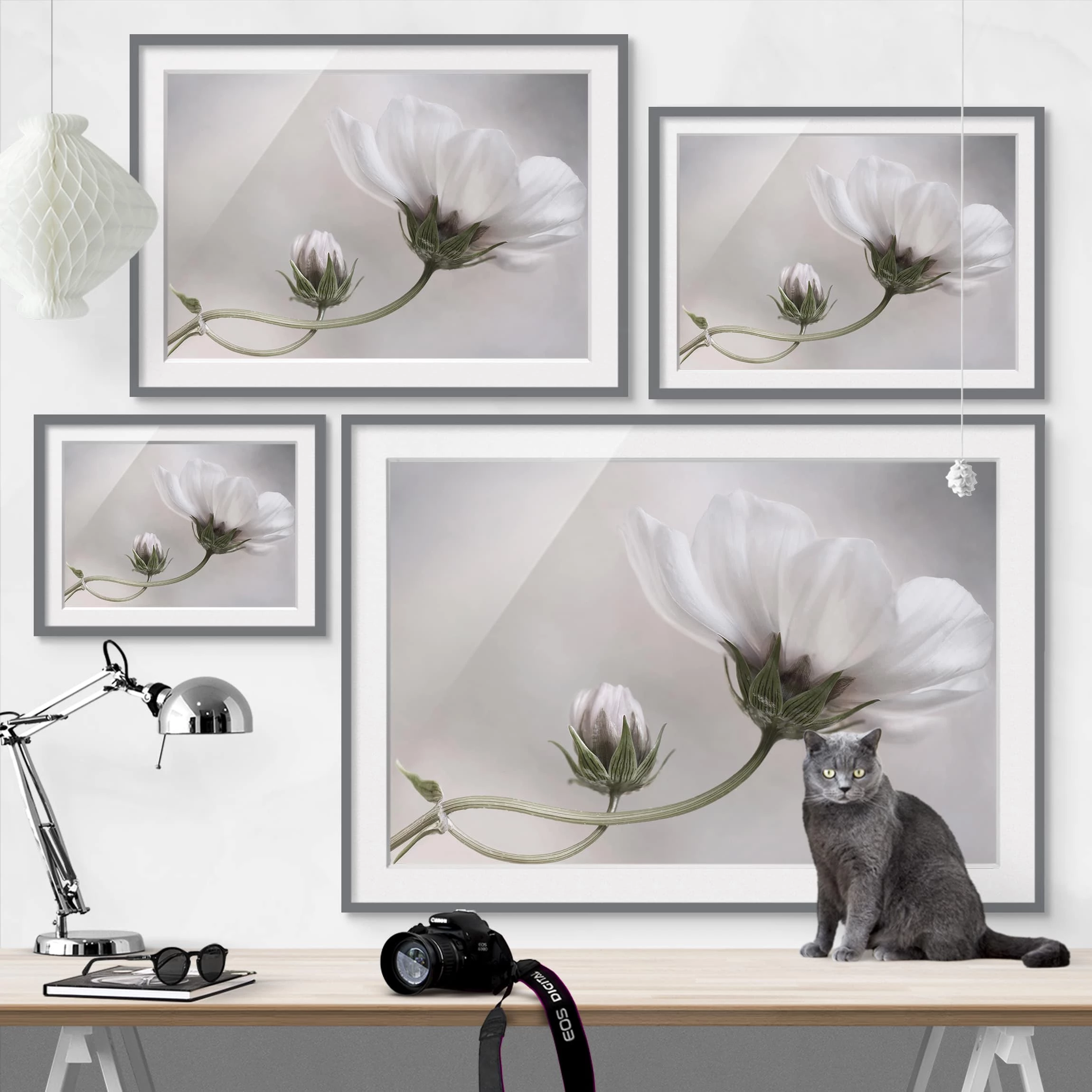 Bilderwelten Tableau déco Simply Cosmos III - Partiellement en pin massif - Gris - 55 x 40 cm – Image 6