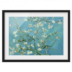Bilderwelten Impression d’art fleurs d’amandier V - Pin massif - Noir - 55 x 40 cm