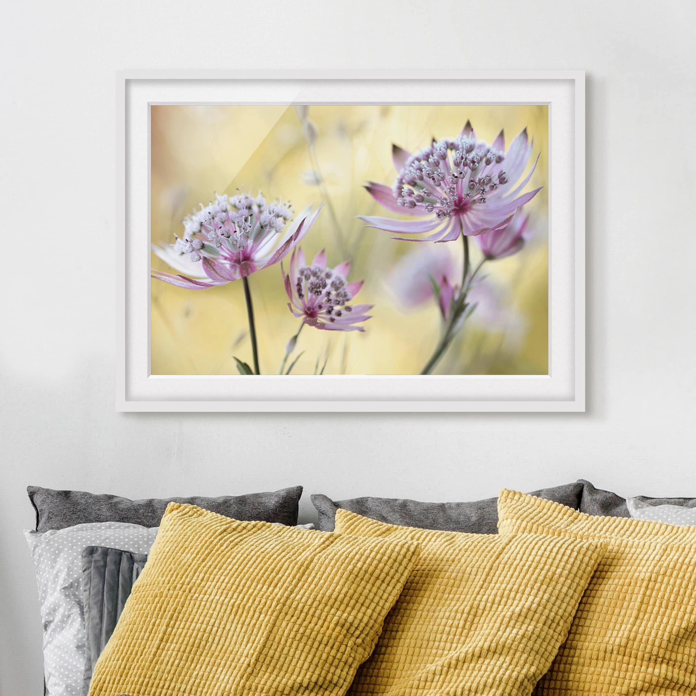 Bilderwelten Impression d’art Astrantia Major II - Partiellement en pin massif - Blanc - 55 x 40 cm – Image 4