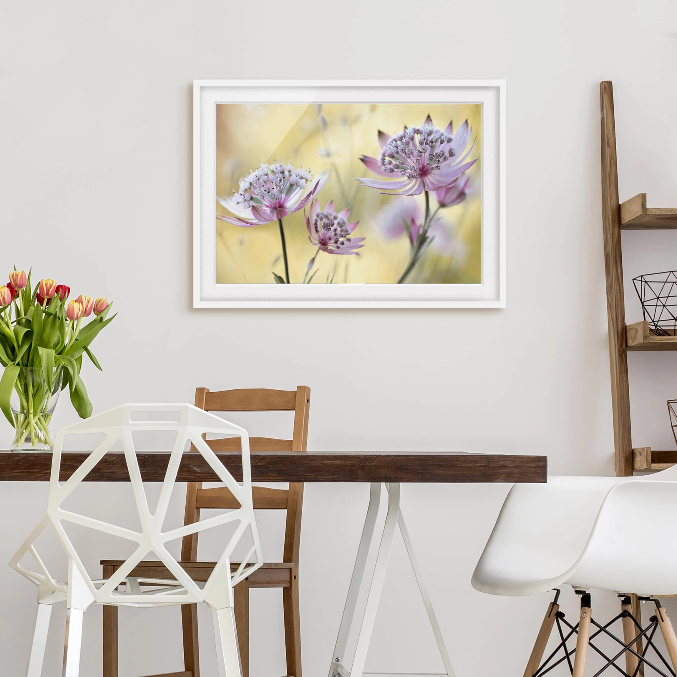 Bilderwelten Impression d’art Astrantia Major II - Partiellement en pin massif - Blanc - 55 x 40 cm – Image 5