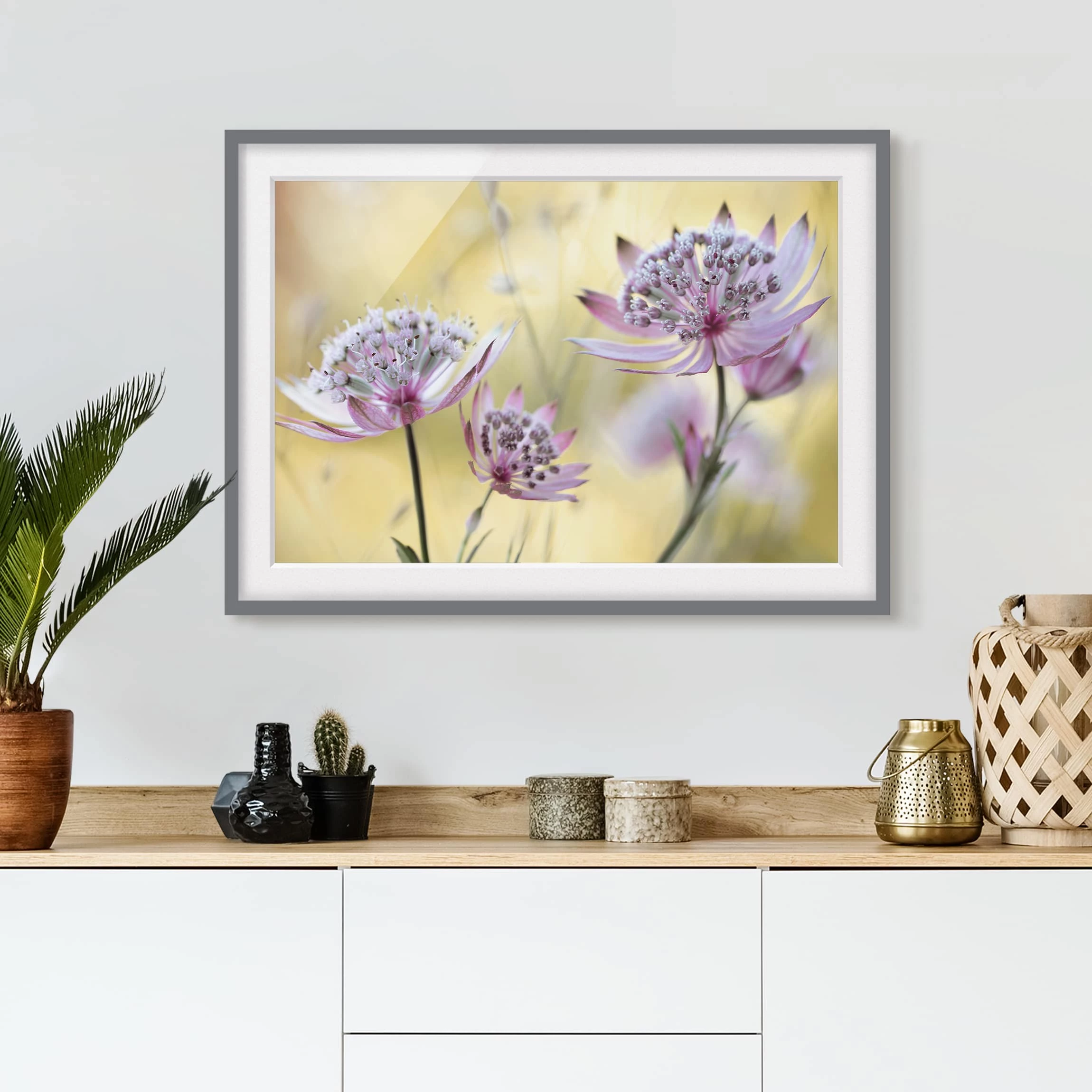 Bilderwelten Impression d’art Astrantia Major III - Partiellement en pin massif - Gris - 40 x 30 cm – Image 3
