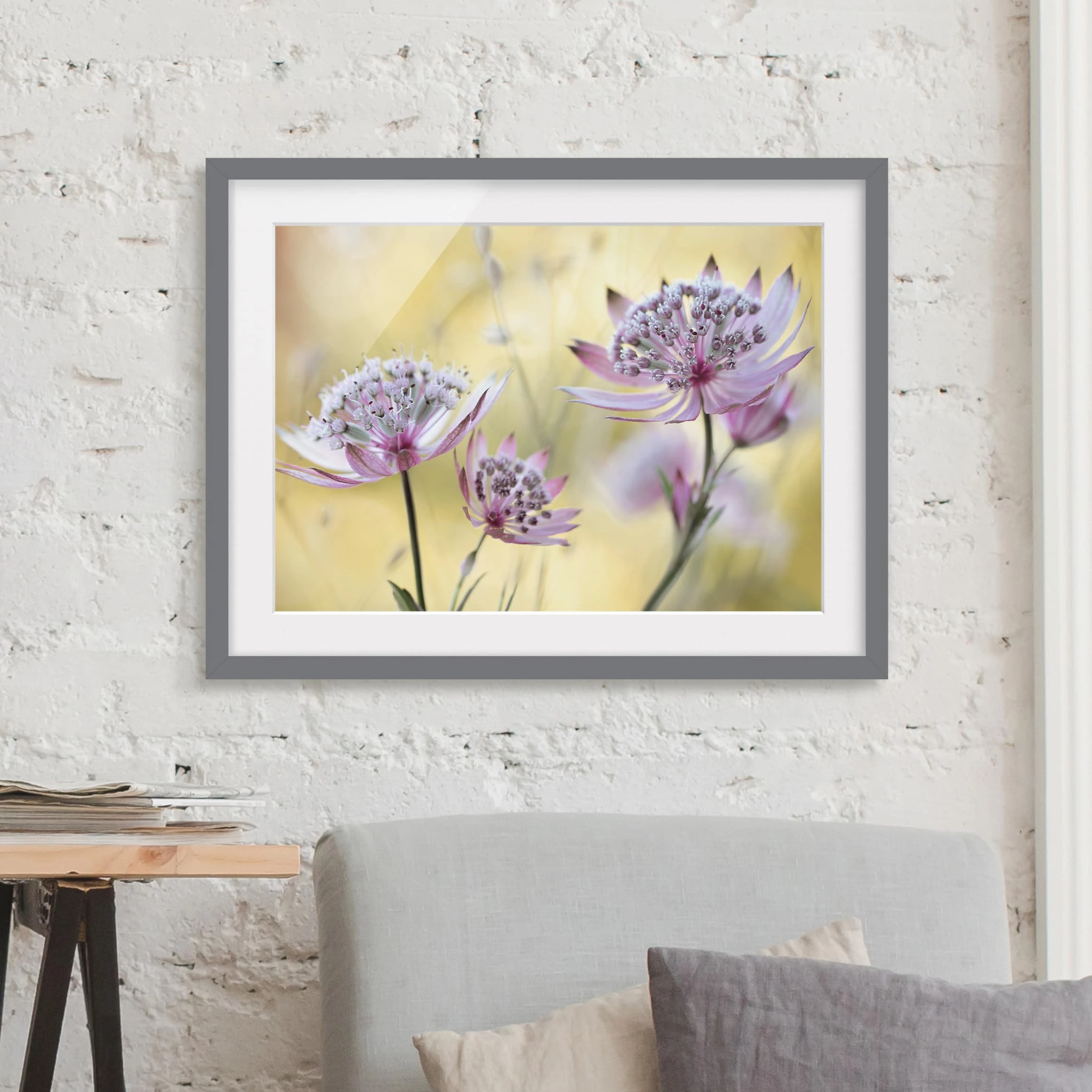 Bilderwelten Impression d’art Astrantia Major III - Partiellement en pin massif - Gris - 40 x 30 cm – Image 4
