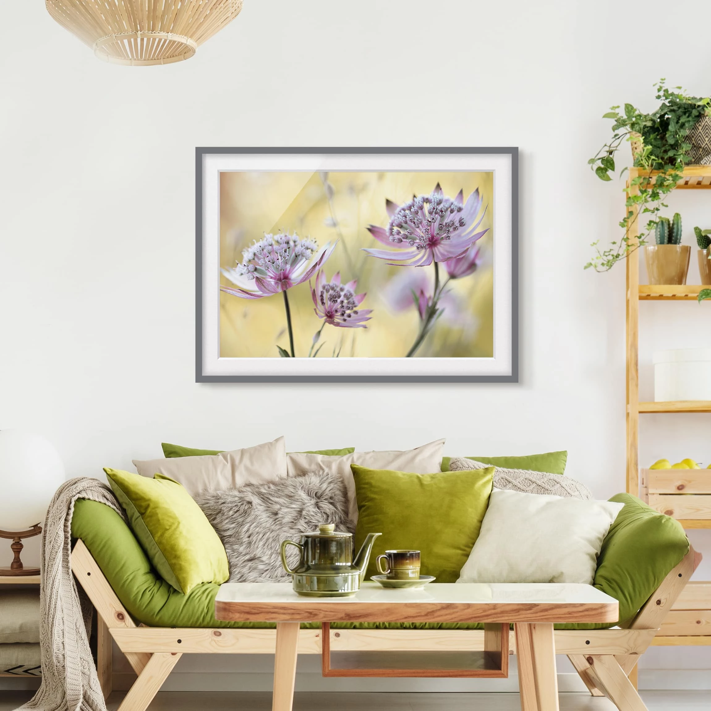 Bilderwelten Impression d’art Astrantia Major III - Partiellement en pin massif - Gris - 40 x 30 cm – Image 5