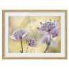 Bilderwelten Impression d’art Astrantia Major IV - Partiellement en chêne massif - Chêne - 70 x 50 cm