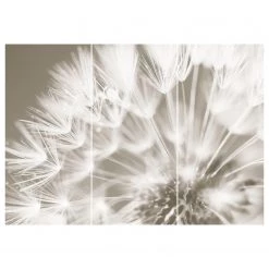 Reinders Tableau déco Pissenlit (3 élém.) - Blanc