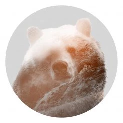 Komar Papier peint intissé Bearava - Encre au latex / Intissé - Multicolore