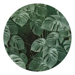 Komar Papier peint intissé Novel Monstera - Encre au latex / Intissé - Vert