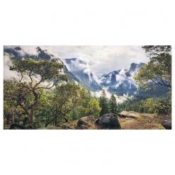 Komar Papier peint intissé Unique Paradise - Intissé - Multicolore