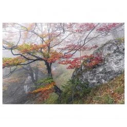 Komar Papier peint intissé Euphoria - Intissé - Multicolore