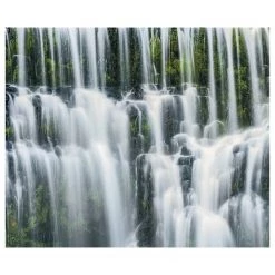 Komar Papier peint intissé Ensemble of Veils - Intissé - Multicolore